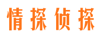 精河侦探公司